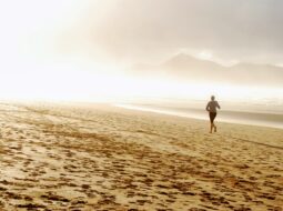 Adrian Preston Brown - Beginner’s Guide